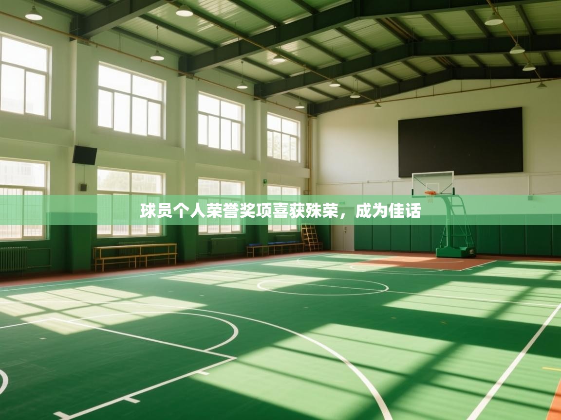 开云体育注册app-球员个人荣誉奖项喜获殊荣,成为佳话 第1张