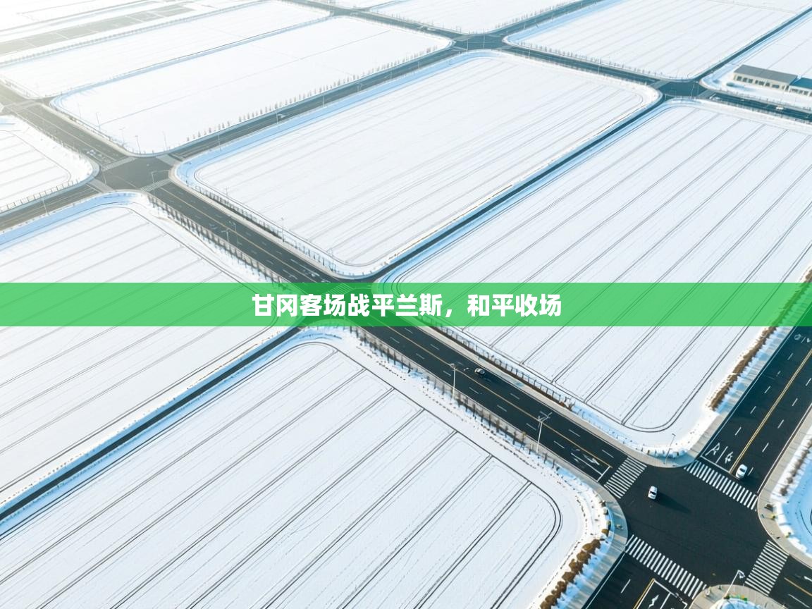 开云体育注册app-甘冈客场战平兰斯，和平收场  第2张