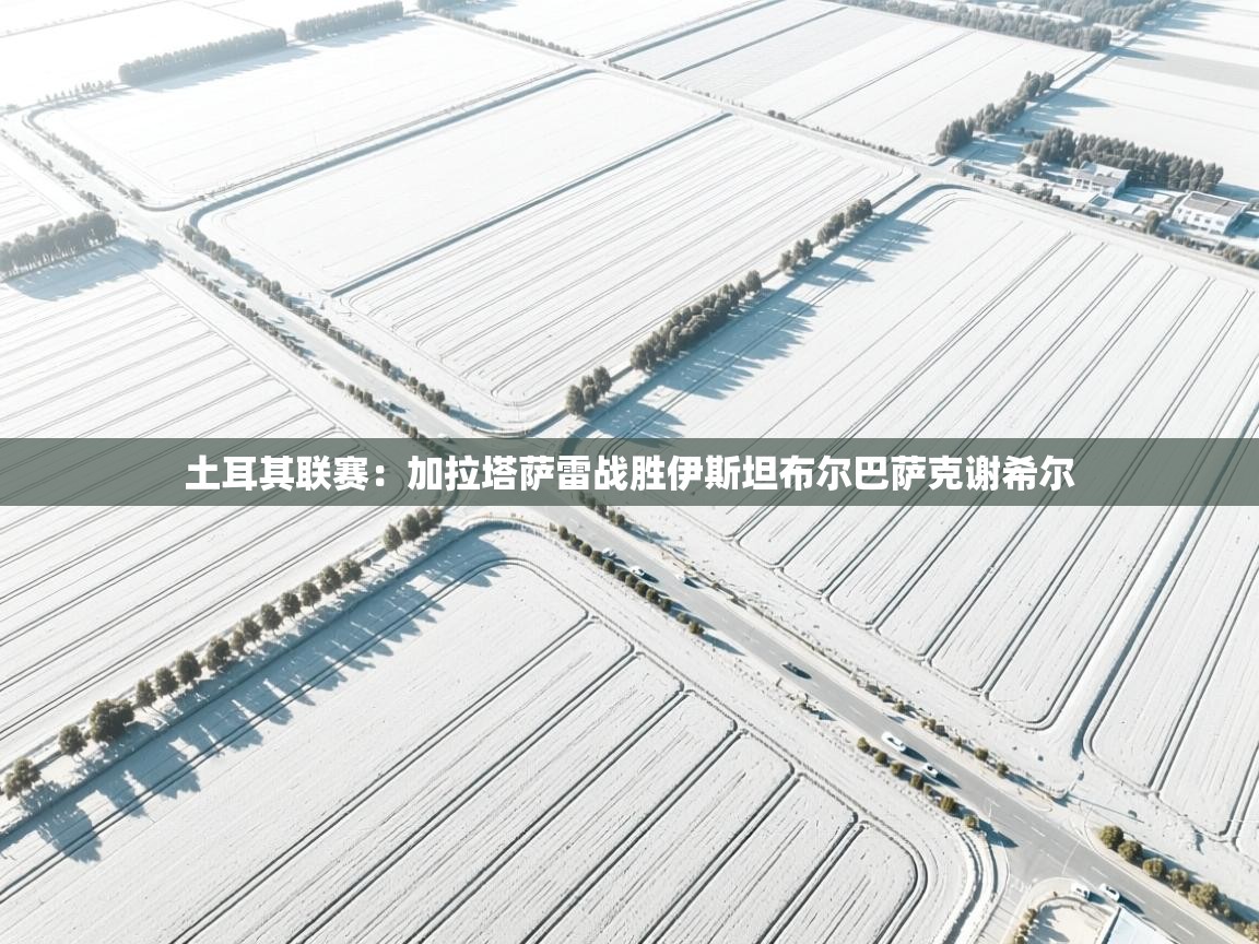 开云体育消息订阅关闭-土耳其联赛：加拉塔萨雷战胜伊斯坦布尔巴萨克谢希尔  第4张